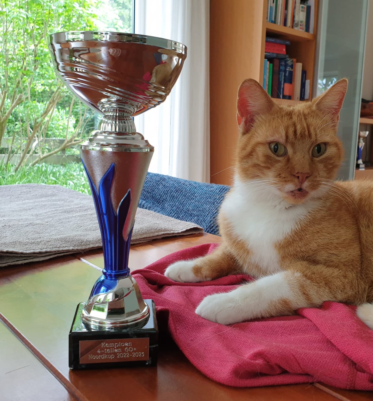 Biljarters Onder Ons 1 kampioen.