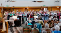 11 Edelweiss ook voor de zaal-kl