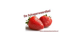 Logo Stammes Logo Stammes