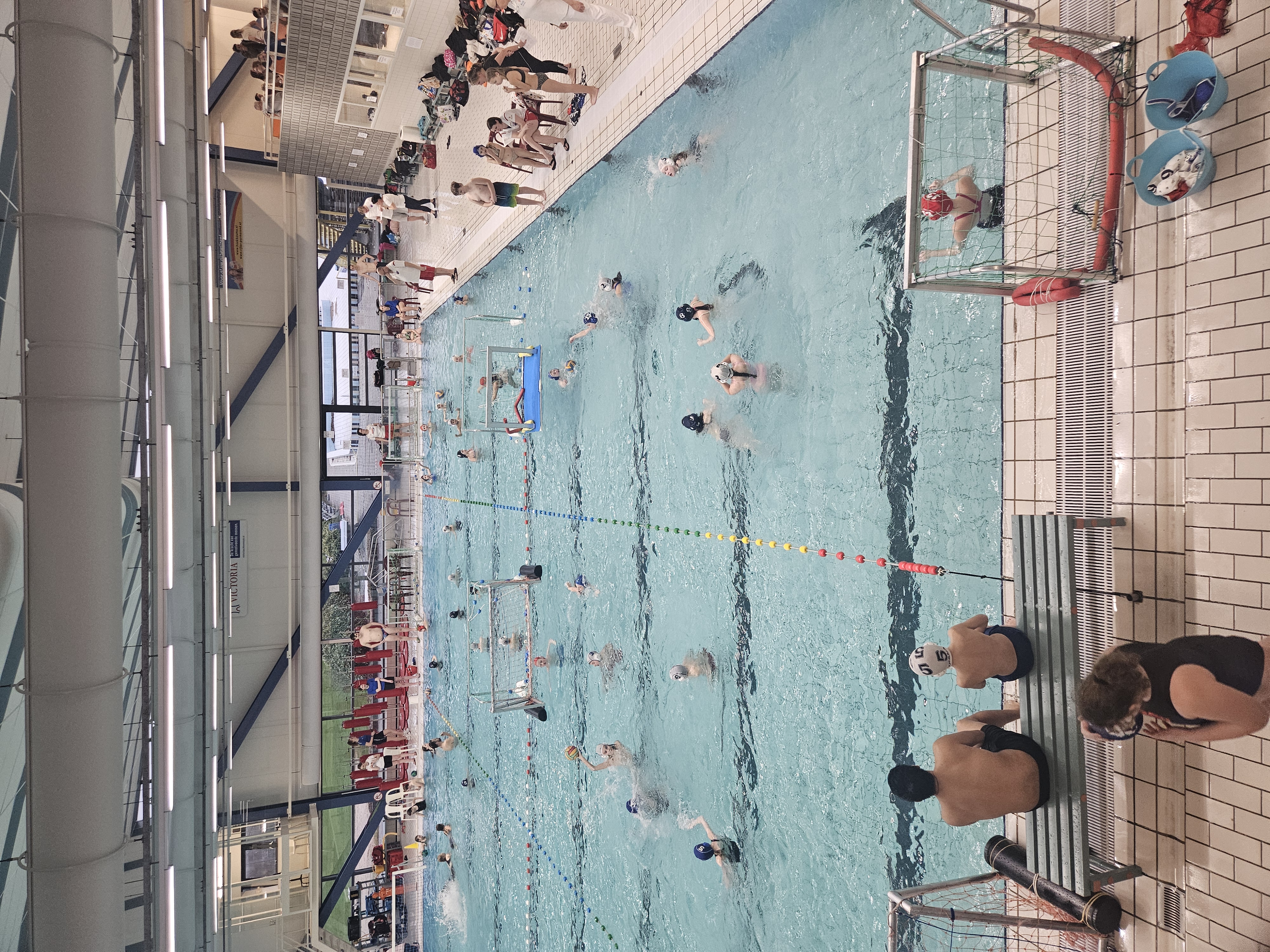 Waterpolo