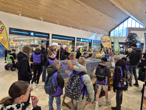 bfff055d-9f10-40ec-a046-dbff0ee200ca