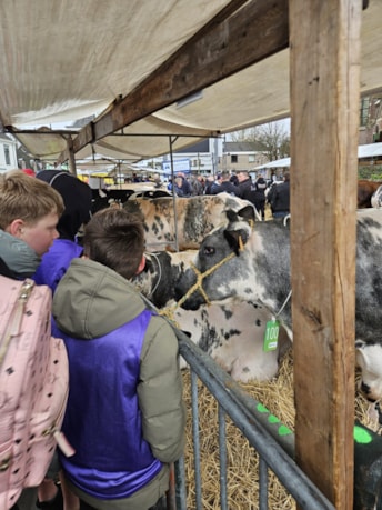 8e3aecb2-6f90-42e1-9476-130d7c269b13