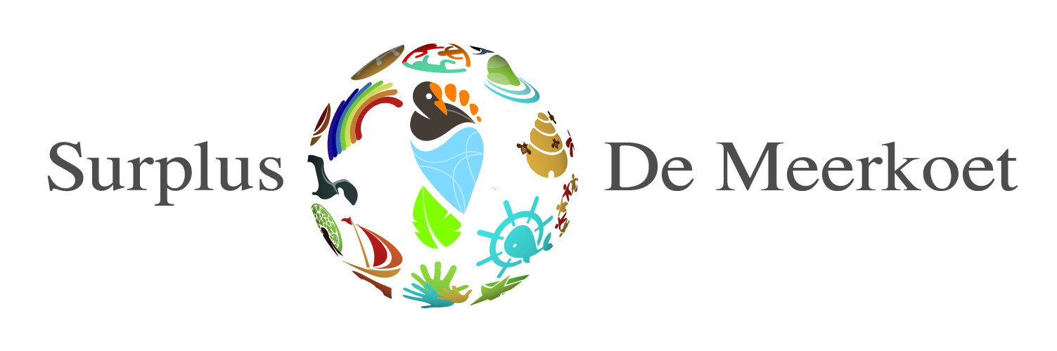 Verkiezingen op De Meerkoet